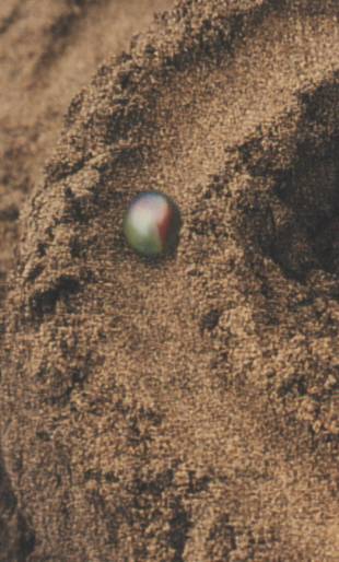 Detail einer Sandmurmelbahn