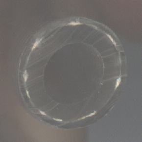 Gewebeschlauch Querschnitt